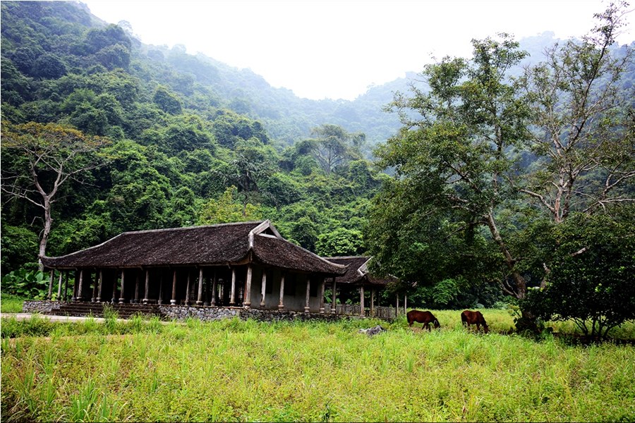 Nhà cổ trong làng Việt Hải 