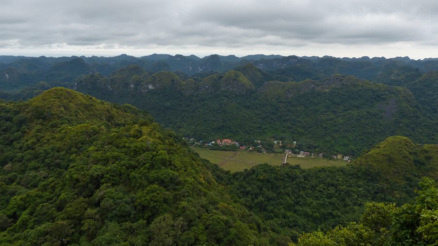 Viet Hai village is in the jungle of Cat Ba island 